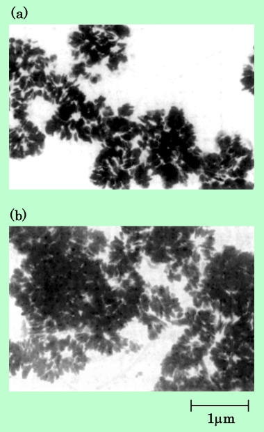 fig24
